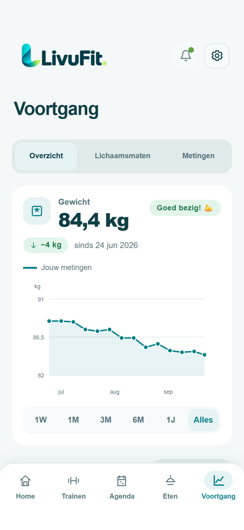 Voortgang met de gewichtsgrafiek en de tabbladen Overzicht, Lichaamsmaten, Metingen en Statistieken